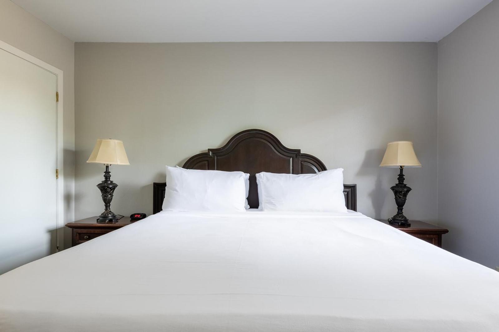French Quarter Suites Hotel 뉴올리언스 외부 사진